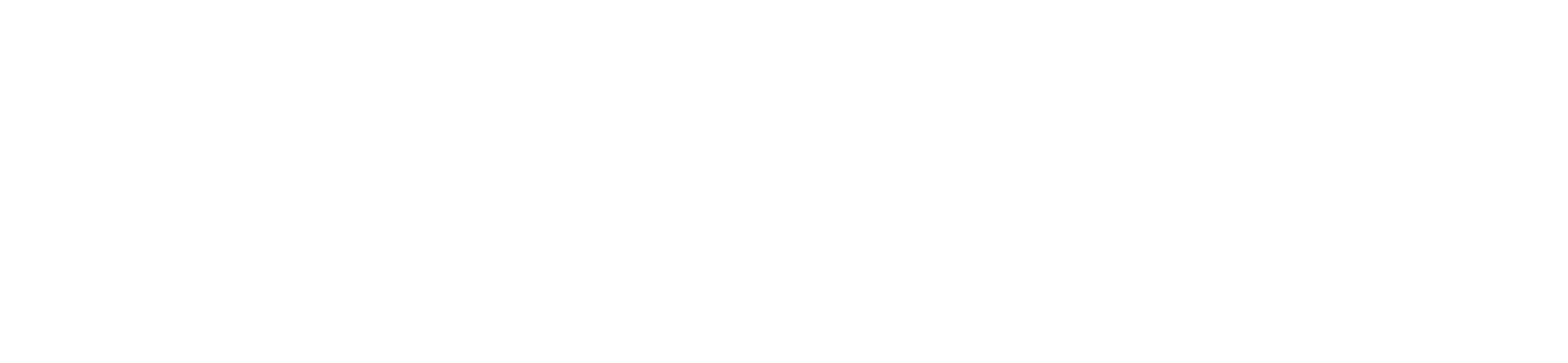 The Safety and Reliability Society